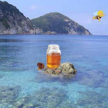 Miele della spiaggia