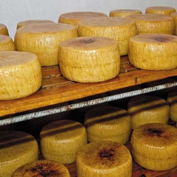 Pecorino di Carmasciano