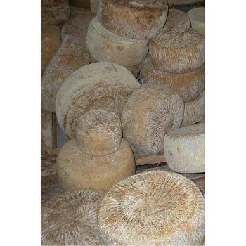 Pecorino di Forenza