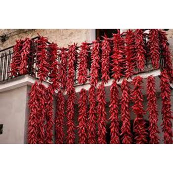 Peperoni di Senise fritti