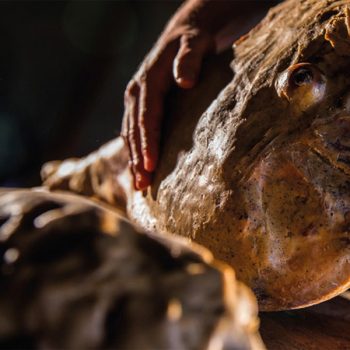 Prosciutto di Cormons