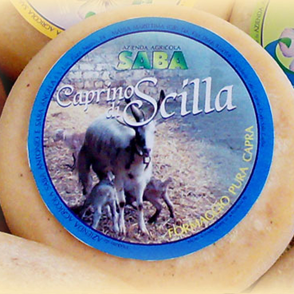 Caprino di Scilla-1