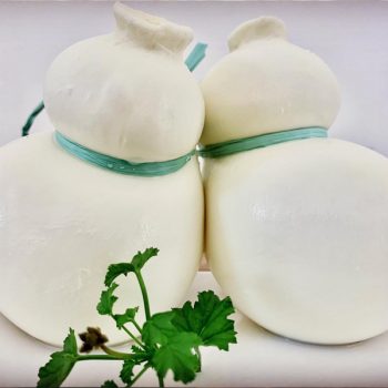Scamorza di pecora
