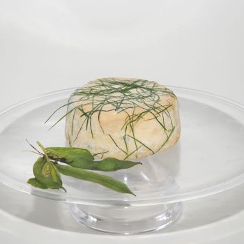 Ricotta marzotica