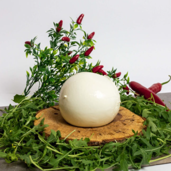 Mozzarella di bufala
