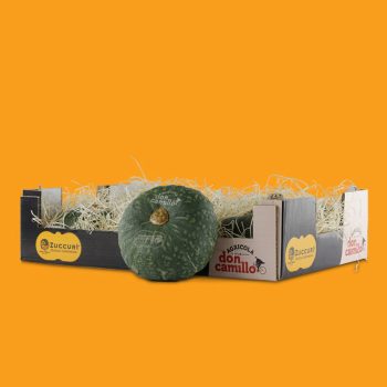 Zucca Zuccurì, la zucca castagna